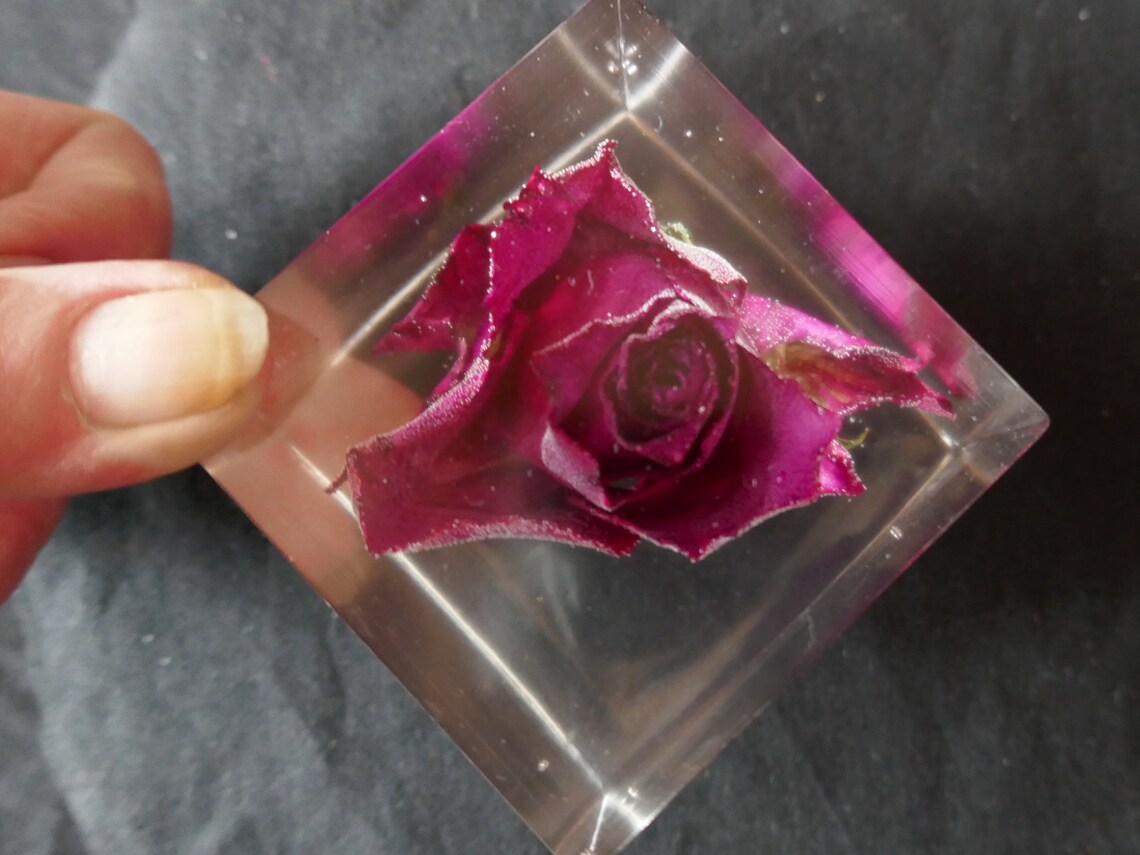 Red Rose in Resin cube keepsake flower memento single rose Etsy