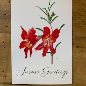 Jahreszeiten Grußkarte, Weihnachtspostkarte, Floraler Urlaub, JahreszeitenGrüße Postkarte, Frohe Weihnachten rot, JahreszeitenGrüße Blume, Winter, rot