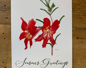 May include: A white card with a red flower illustration and the text "Seasons Greetings".