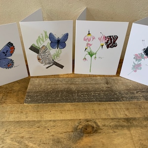 Arte de cartão de borboleta, conjunto de cartão de borboleta, conjunto de borboleta, ponto de damas, azul Sonora, azul Edwards, conjunto de cartão de arte de borboleta, papelaria de borboleta