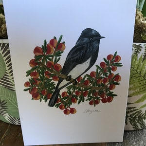 Zwarte phoebe ansichtkaart, zwarte phoebe, zwarte phoebe kaart, zwart-wit, vogel ansichtkaart, vogel groet, zwarte phoebe kunst, zwarte phoebe vogel,