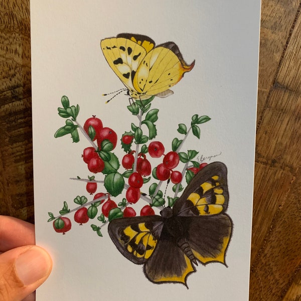 Hermes copper postcard, Hermes copper butterfly, yellow butterfly, summer butterfly, copper butterfly postcard, butterfly note, yellow post