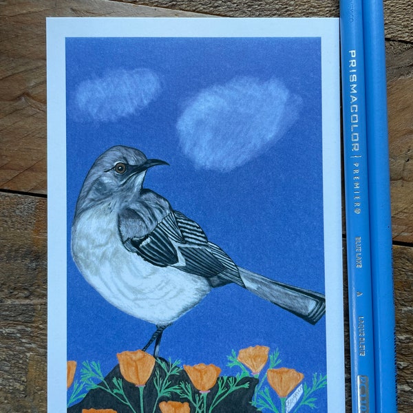 Northern mocking bird postcard, Northern mockingbird in California poppies postcard, California wildlife postcard