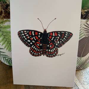Quino Checkerspot Schmetterling Postkarte, Quino Checkerspot Schmetterling Note, Quino Checkerspot, Schmetterling Postkarte, Schmetterling Kunst, Quino Kunst, Kunst