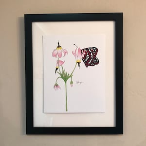 Butterfly print, print, checkerspot print, checkerspot wall art, checkerspot drawing for wall, butterfly drawing for wall, butterfly print