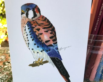 Kestrel, bird card, bird art, wildlife art, wildlife card, blank wildlife card, bird, California art, nature art, nature card, bird card