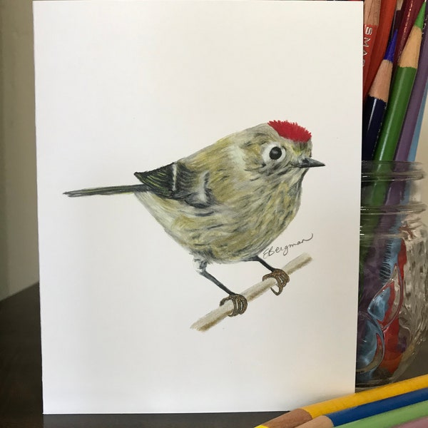 ruby crowned kinglet bird card, oak woodland art, bird card, Calfornia Art, Los Angeles greeting card, bird art, red bird, nature art