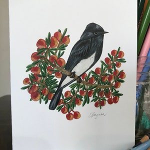 cartão de pássaro phoebe preto, cartão de arte de pássaro, arte da Califórnia no condado de San Diego, flores silvestres de erva-cidreira, pássaro preto e branco