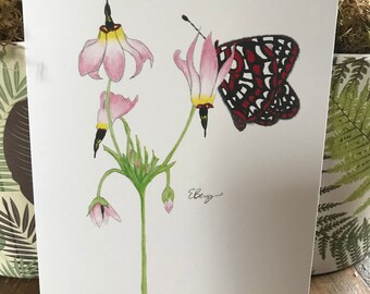 Checkerspot butterfly postcard, quino Checkerspot butterfly postcard, Checkerspot butterfly, butterfly postcard, Checkerspot butterfly,