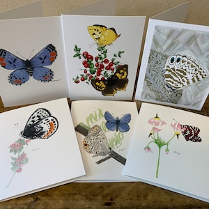 Set di carte farfalla, set di farfalle, set di carte, set di carte della fauna selvatica, set di biglietti di auguri farfalla, set di biglietti d'auguri per le farfalle,