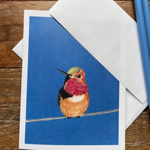 Allen’s hummingbird card, Allen’s hummingbird greeting card, wildlife card,