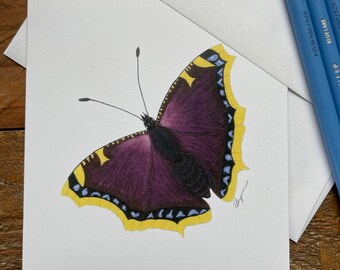 Mourning cloak butterfly, mourning cloak card, mourning cloak butterfly card, butterfly card, purple butterfly card