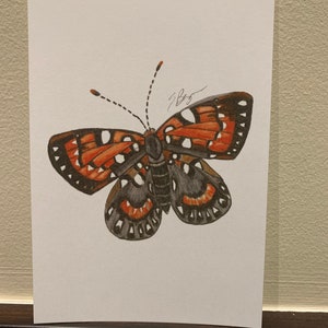 Behr es Metalmark Postkarte, Metallmark Postkarte, Schmetterling Postkarte, Schmetterling Postkarte Kunst, Schmetterling Karte, Metallmark, Metallmark Karte, Behr es