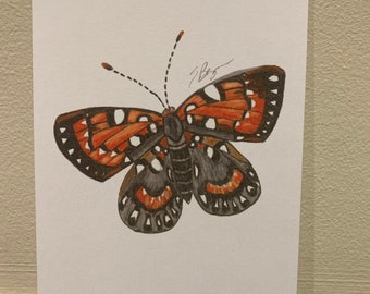 Behr’s metalmark postcard, metalmark postcard, butterfly postcard, butterfly postcard art, butterfly card, metalmark, metalmark card, behr’s