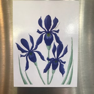 Flora magnet, iris magnet, flora, iris, flowers magnet, flowers, wildflowers, magnet, fridge magnet, refrigerator magnet, iris art, decor
