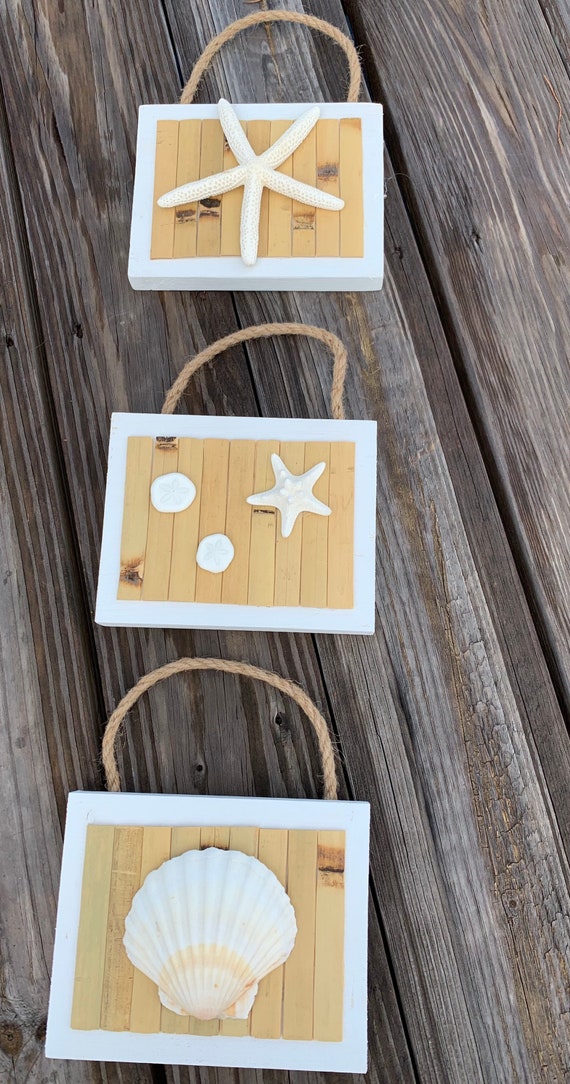 Handmade Seashell Wall Art Decor Set of 3 Etsy