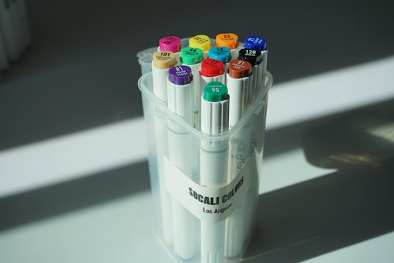 MILO 80 Art Marker Set Dual Tip Artist Markers Bullet Tip and Chisel Tip Alcohol  Based Coloring Markers Includes Marker Storage Box 
