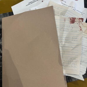 Peut inclure: Un ensemble de documents, comprenant un dossier marron, des notes manuscrites et des papiers imprimés. Certains papiers présentent des taches ressemblant à du sang et du texte de "FEDERAL POLICE DEPT. INTERNAL INVESTIGATION REPORT" et "UMBRELLA CORPORATION".