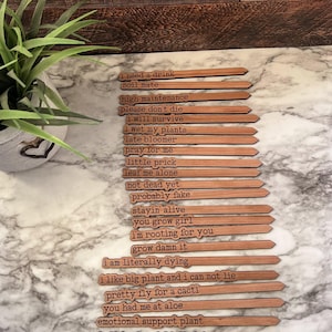 Sarcastic Plant Stakes