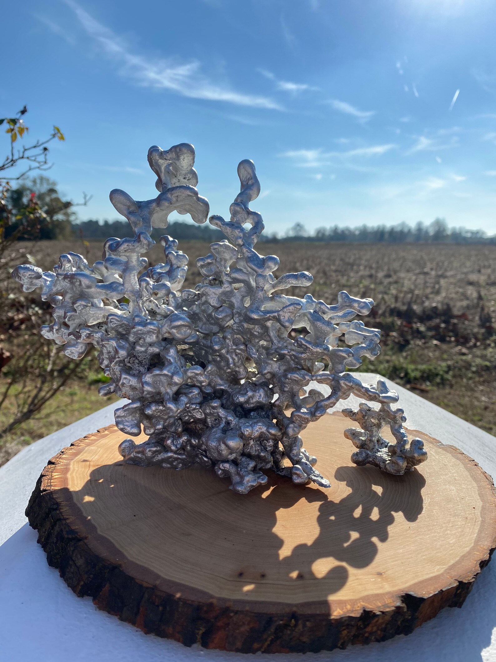 Aluminum Ant Hill Casting Etsy