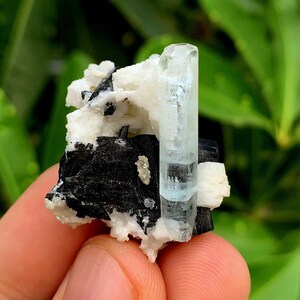 Cute Aquamarine Crystal With Black Tourmaline Specimen , Aquamarine Specimen , Aquamarine With Tourmaline , Weight : 15.30 Grams
