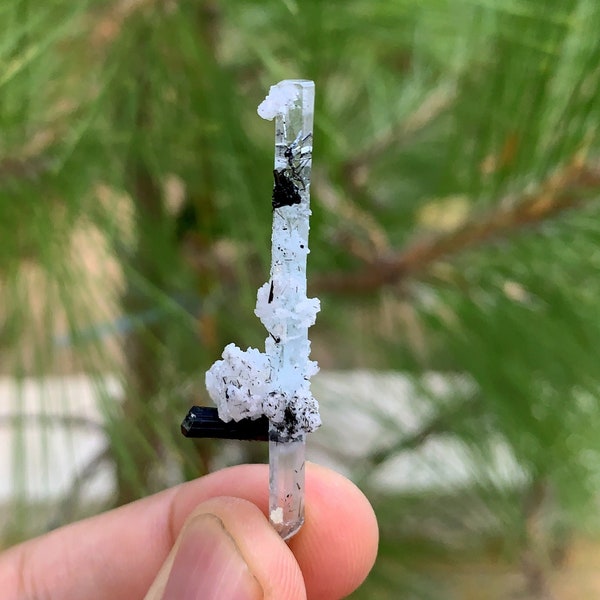 Unseen Aquamarine Crystal Black Tourmaline Crystal And Schroll Spray , Aquamarine Specimen , Aquamarine And Tourmaline , weight : 2.45 Grams