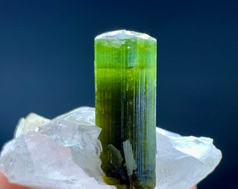 Tourmaline verte naturelle sur quartz, cristal de tourmaline, minéral de tourmaline, spécimen de tourmaline Tourmaline du Pakistan - 15,5 garms