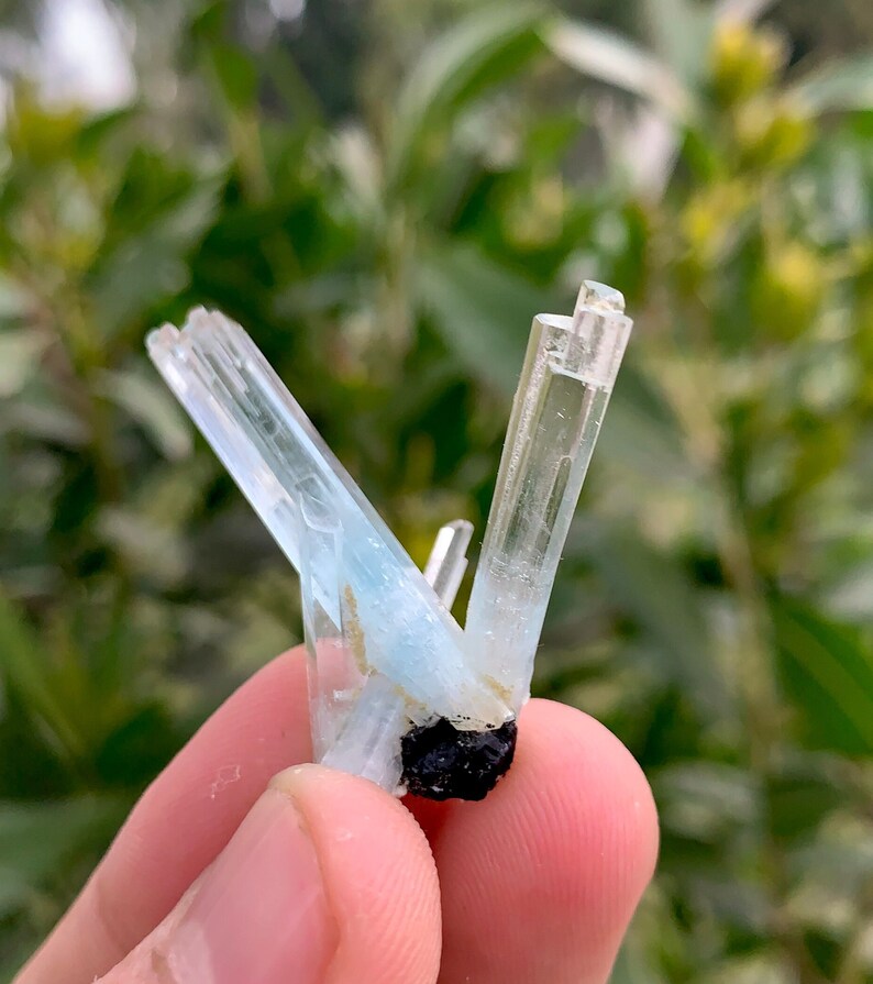 Twinned Terminated Aquamarine Crystals Bunch , Sky Blue Aquamarine ...