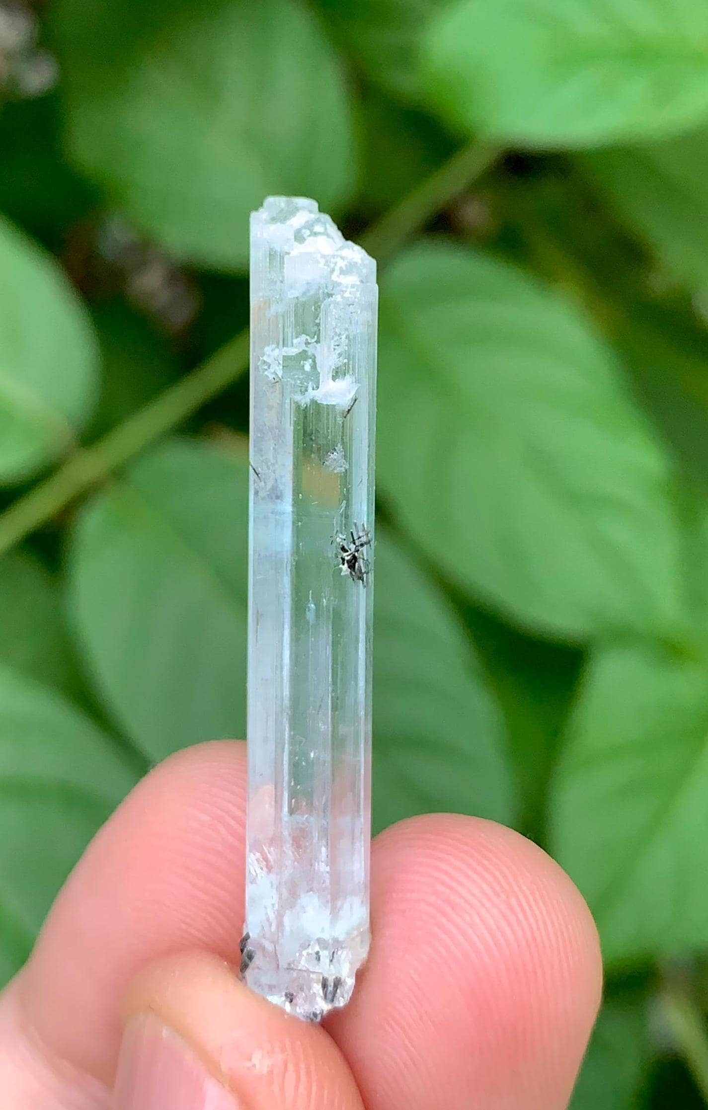 トルマリン入りエッチングアクアマリンクリスタル シガー パキスタン