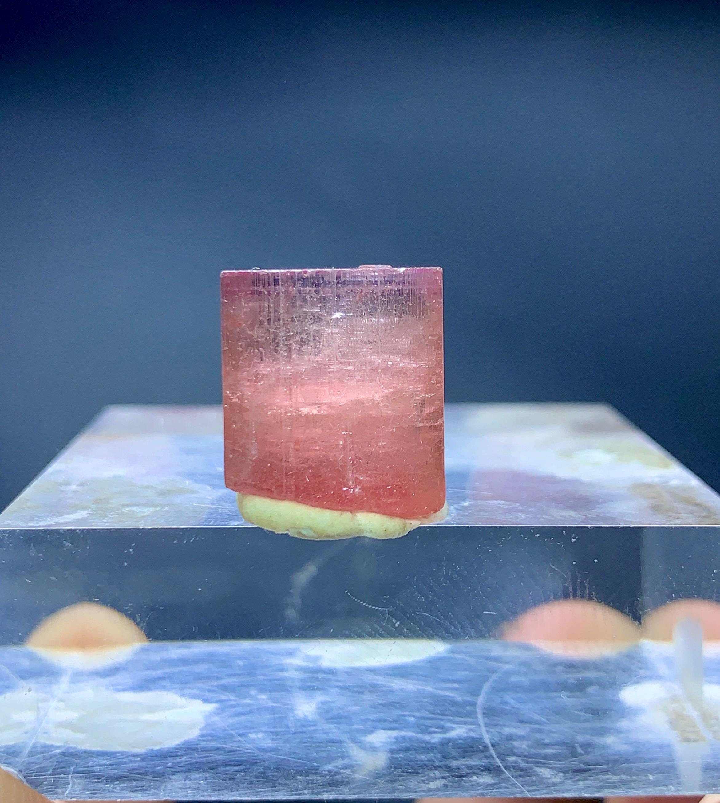 アクアマリン×モスコバイト共生標本-5 マリンアクアリスト No.105