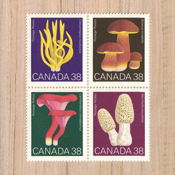 4 Mushroom Postage Stamps from Canada, 1989