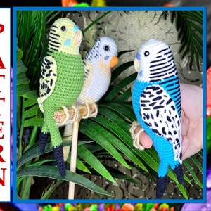 Crochet Budgie Pattern, Amigurumi Bird Pattern, Stuffed Small Bird Tutorial, Crochet Toy pattern, Soft Bird Pattern, DIY Budgie Toy
