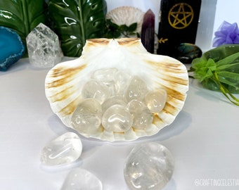 Clear Quartz Tumbled Crystal, Natural Polished Clear Quartz
