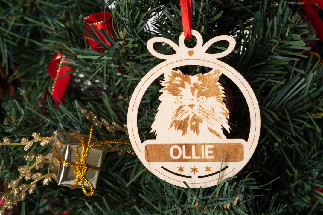 Personalized Persian Cat Ornament, Custom Holiday Pet Name Christmas ...