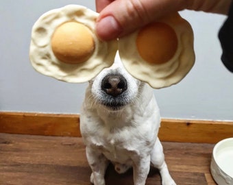 Doggie Chocolate Fried Eggs *The Original*