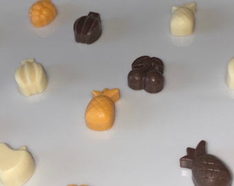 Doggie Chocolate Mini Fruit pack  *The Original*