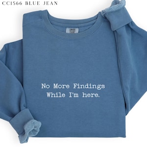 Comfort Colors® Funny Auditor Shirt, Accountant Quotes, Auditor Findings 2025 Gift Tee, CPA Auditor Crewneck, Accountant Audit Team T-Shirt