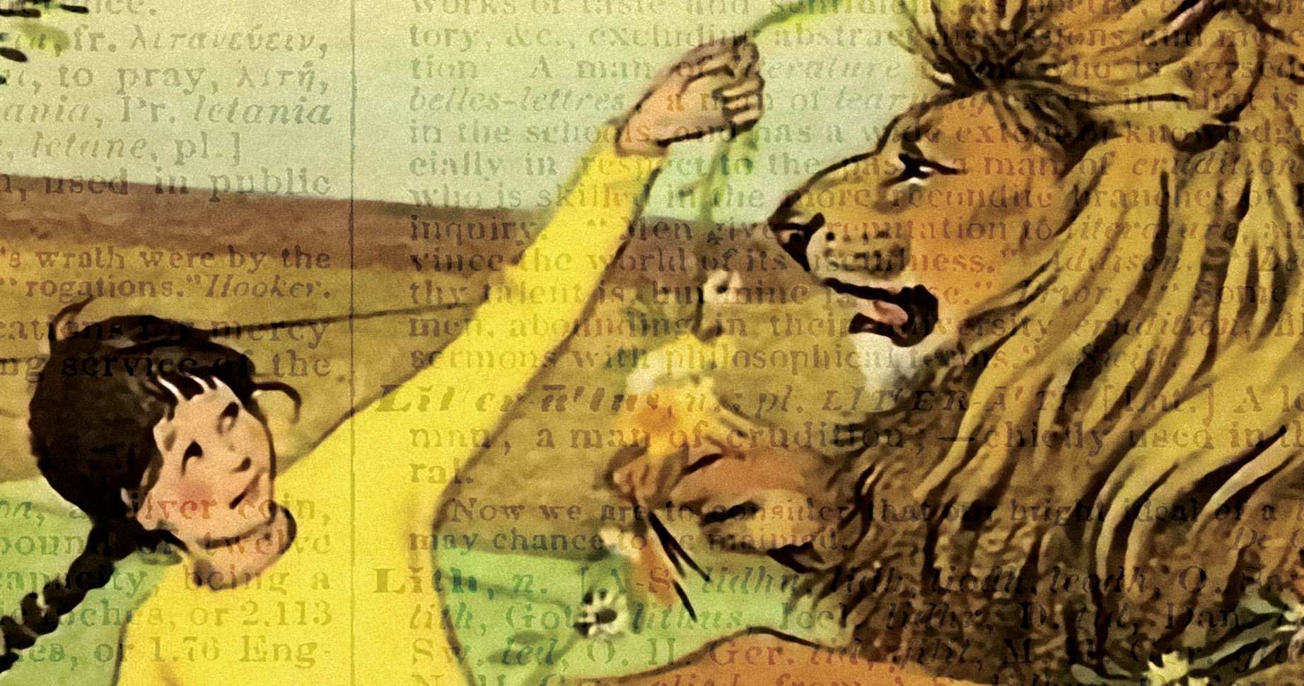 El León la Bruja y el Armario de C S Lewis Cubierta de Libro | Etsy