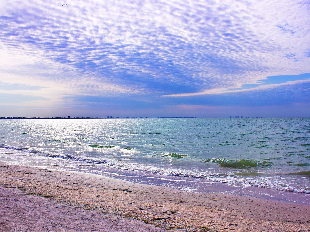 Sanibel Island Beach Digital Print Coastal Wall Decor Tropical Print