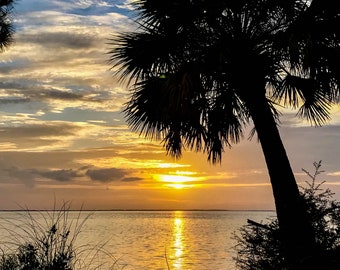 Florida Sunset Palm Tree Photo, Tropical Beach Wall Art (Digital Download)