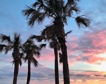 Florida Palm Tree Sunset Photography Print, Tropical Wall Art (Digital Download)