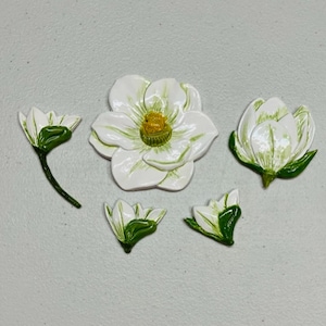 Magnificent Magnolia Ceramic Tiles