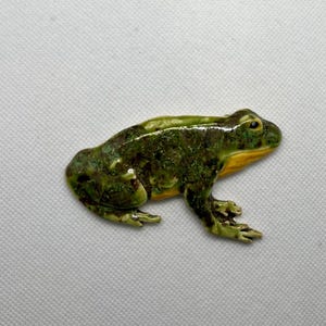May include: A green and yellow ceramic frog figurine with a textured surface.
