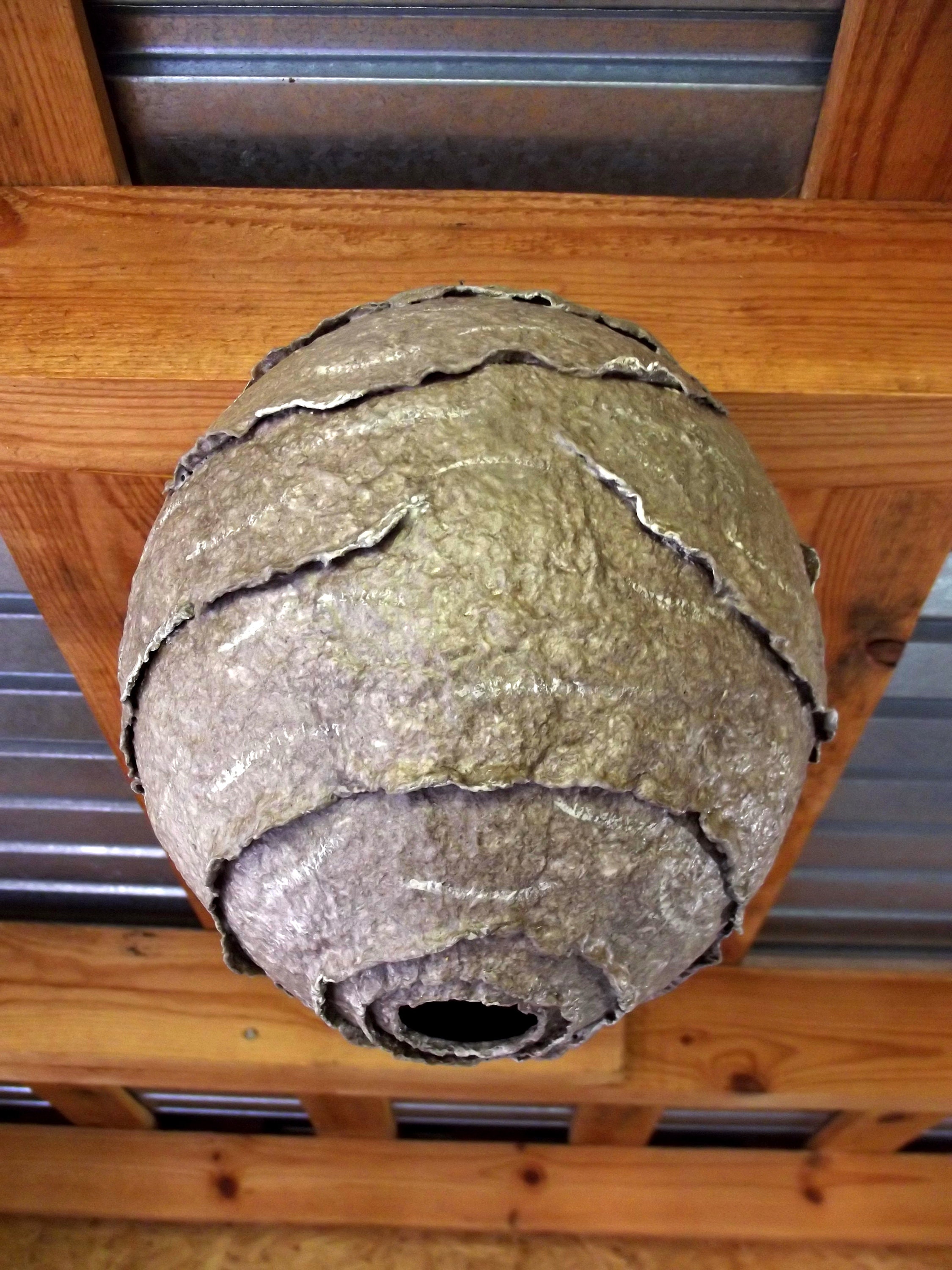 Fake wasp nest. Wasp nest. Pest control. Papier mache. Etsy