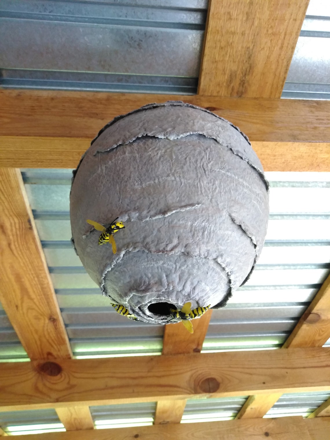 Wasp nest. Fake wasp nest. Papier mache. Pest control. Etsy