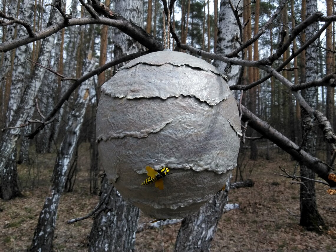 Wasp nest. Fake wasp nest. Papier mache. Pest control. Etsy