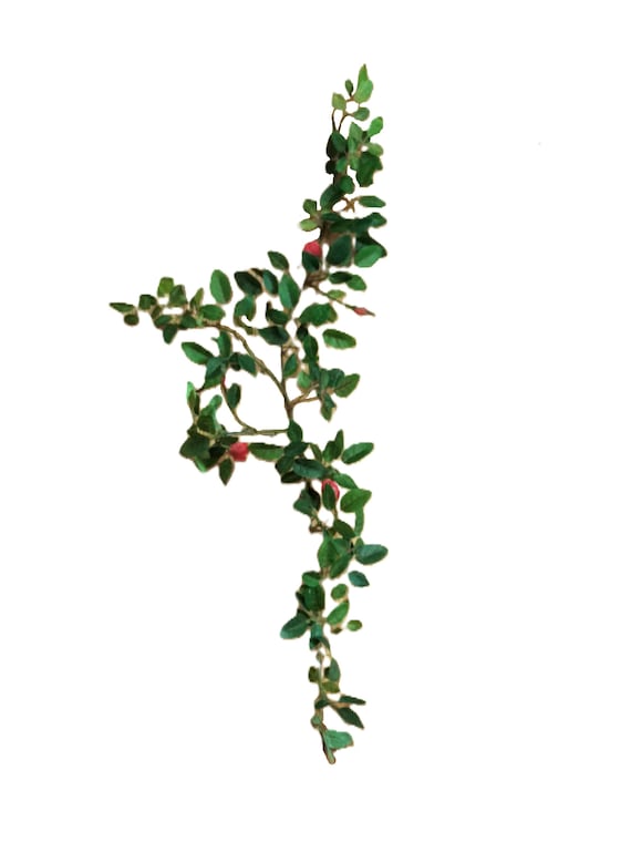 18" Rose Bud Stem