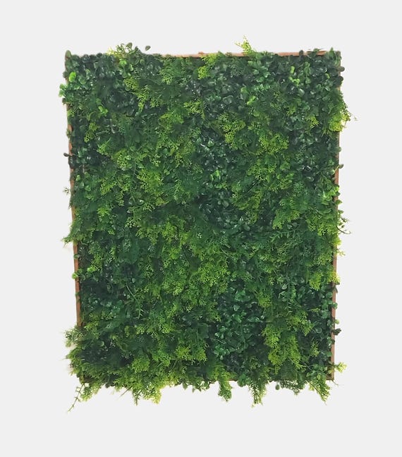 Framed Faux Foliage