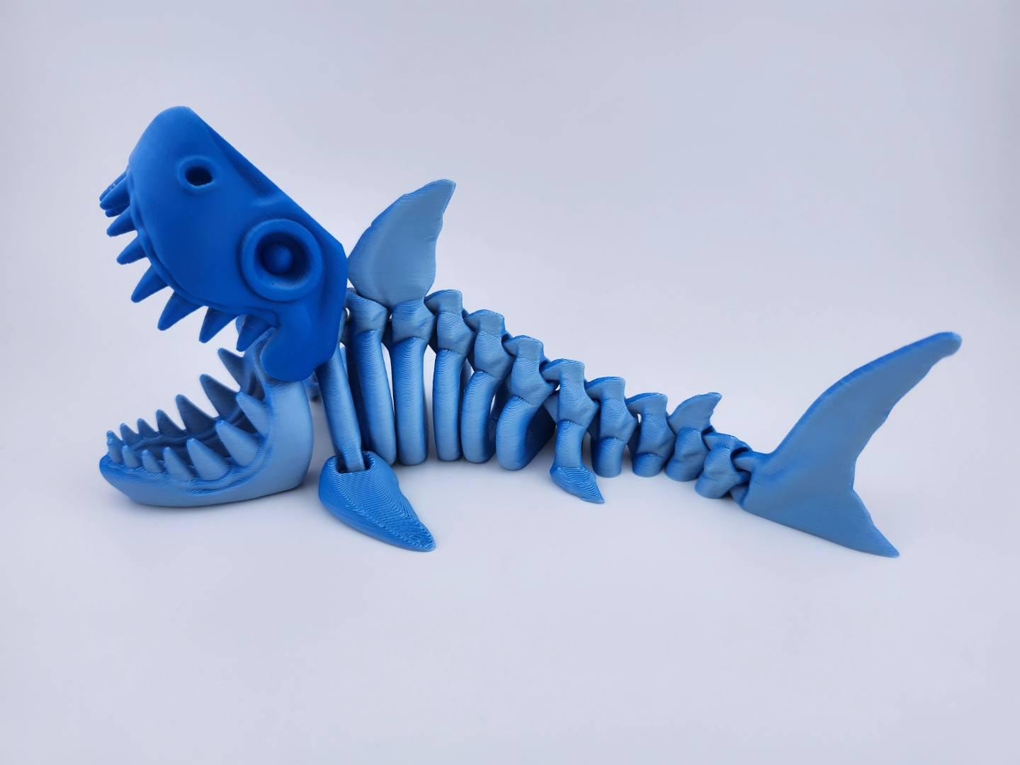 Skeleton Shark, 3D Printed Shark, Shark Anatomy Model, Prehistoric