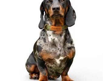 Waterproof Dog Collar - Ready Made